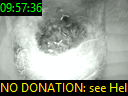 09:57:36