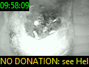 09:58:09