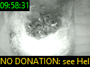 09:58:31