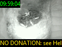 09:59:04
