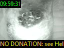09:59:31
