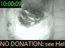 10:00:09