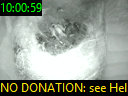 10:00:59