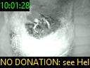 10:01:28