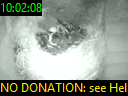 10:02:08