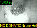 10:03:26