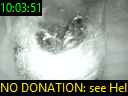 10:03:51