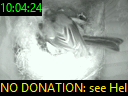 10:04:24