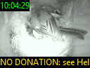 10:04:29