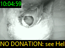 10:04:59
