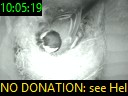 10:05:19