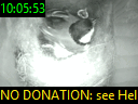 10:05:53