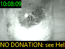 10:08:09