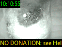 10:10:55