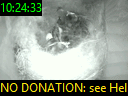 10:24:33