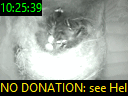 10:25:39
