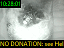 10:28:01