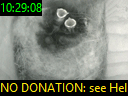 10:29:08
