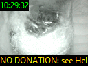 10:29:32