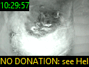 10:29:57