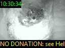 10:30:34