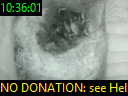 10:36:01