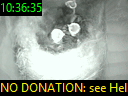 10:36:35