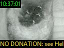 10:37:01