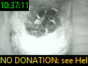10:37:11