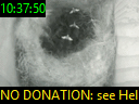 10:37:50