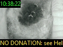 10:38:22