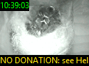 10:39:03