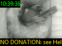 10:39:36