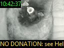 10:42:37