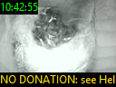 10:42:55