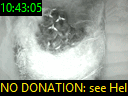 10:43:05