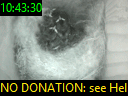 10:43:30