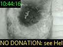 10:44:16