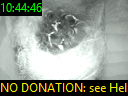 10:44:46