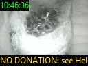10:46:36