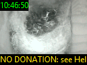10:46:50