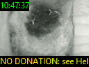 10:47:37