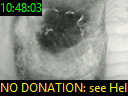 10:48:03
