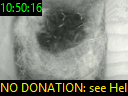 10:50:16