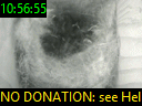 10:56:55