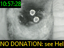 10:57:28