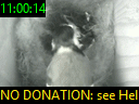 11:00:14