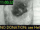 11:00:32