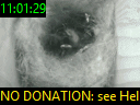 11:01:29