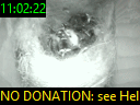 11:02:22